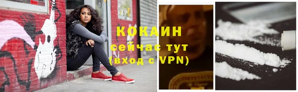прущие грибы Пролетарск