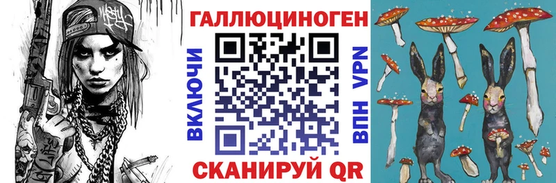сколько стоит Владикавказ Псилоцибиновые грибы мицелий