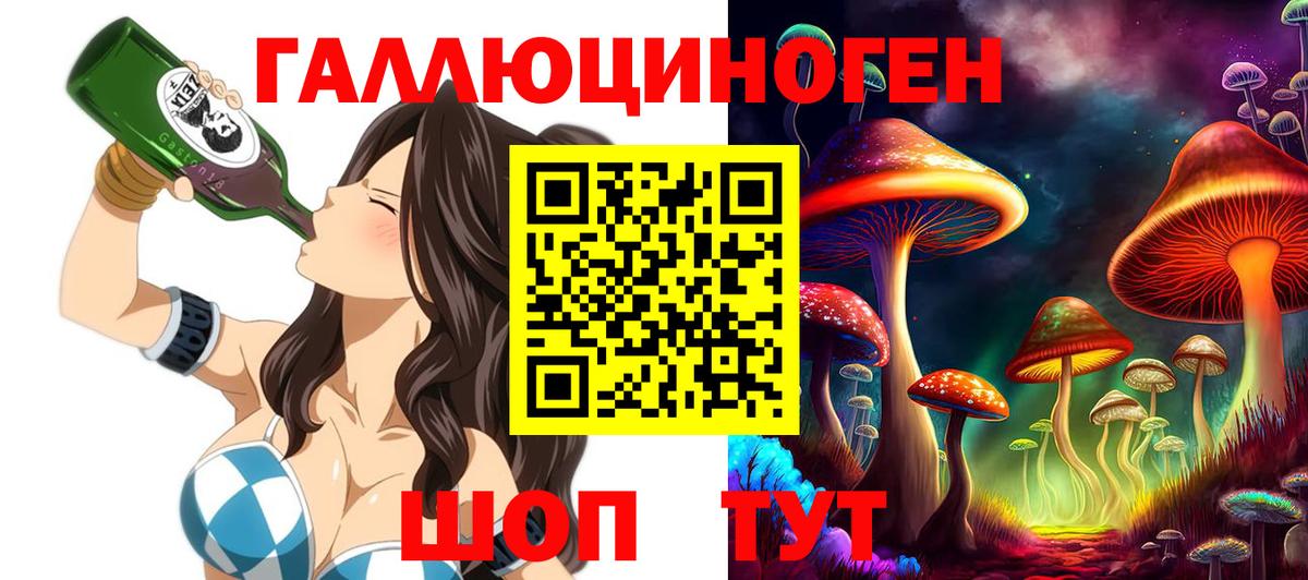 Псилоцибиновые грибы Psilocybine cubensis Владикавказ