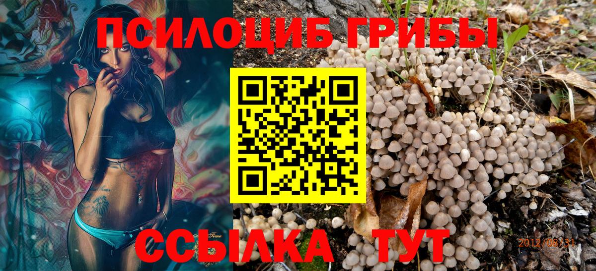Галлюциногенные грибы Cubensis  Псилоцибиновые грибы мицелий  Владикавказ  купить наркотики сайты  Вход с VPN 